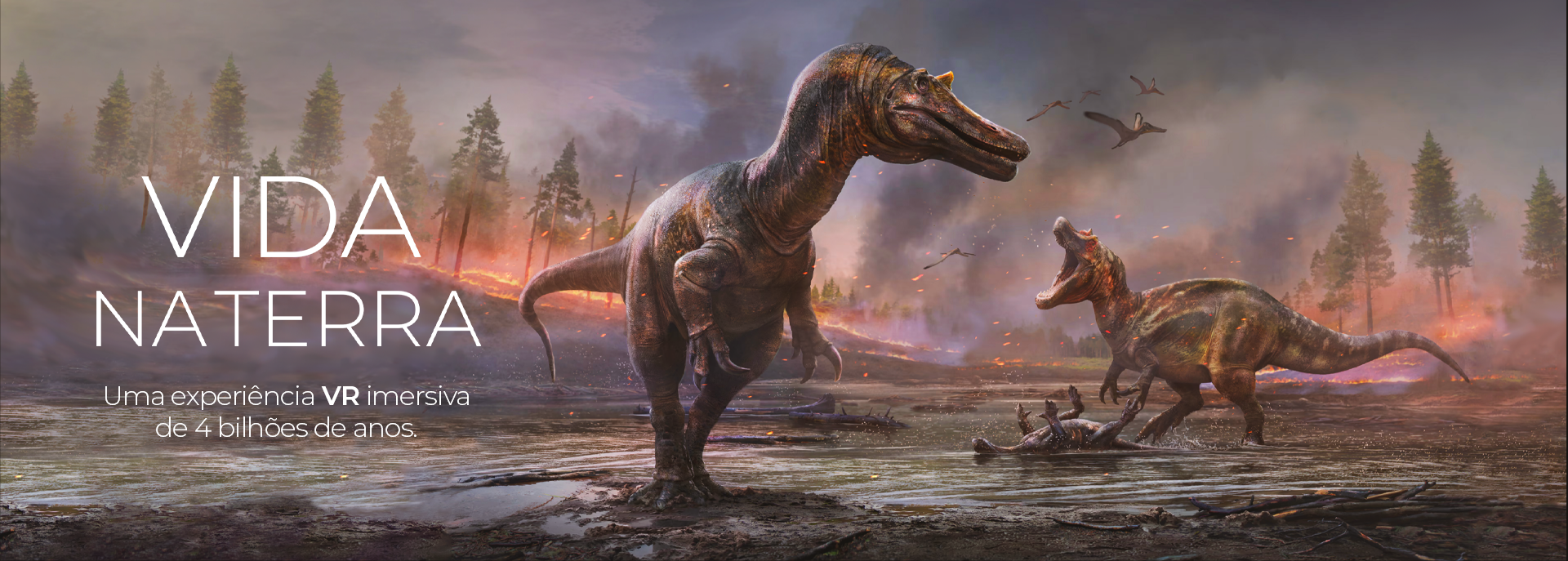 Banner 2 home dobra 01 desktop